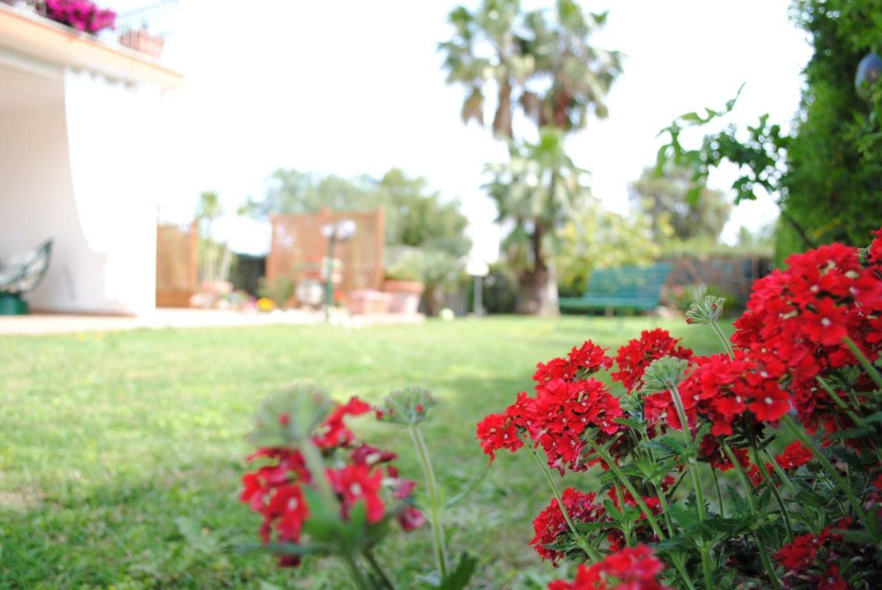 Regina Bed & Breakfast *